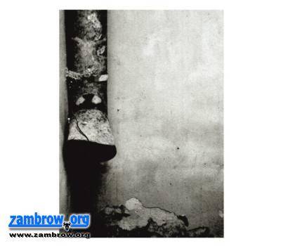 Zapraszamy na wernisaż wystawy fotograficznej