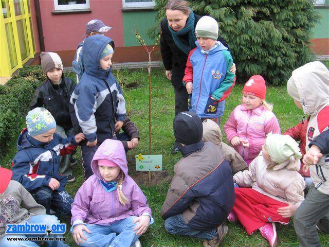 Ekobiedronki z Miejskiego Przedszkola nr 4 obchodzą Święto Ziemi