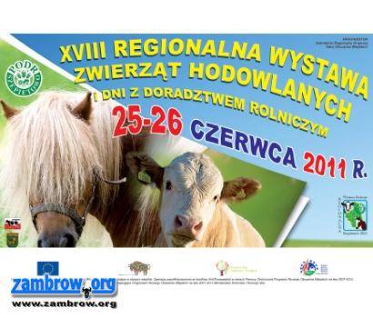 Wystawa Zwierząt i Dni z Doradztwem Rolniczym w Szepietowie