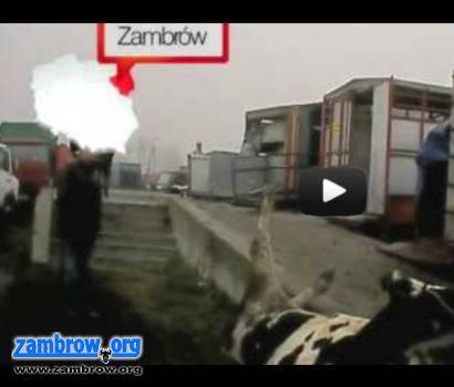 Wstrząsający raport Fundacji VIVA, a w nim Zambrów [video]