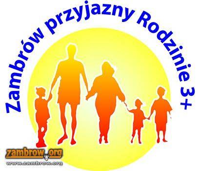 Miasto wesprze rodziny wielodzietne i zastępcze [retransmisja sesji Rady Miasta]