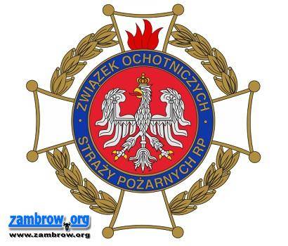 Reaktywacja OSP w Kruszach-Łubnicach 