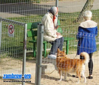 Pies to nie dziecko, nie wyprowadzaj go na plac zabaw