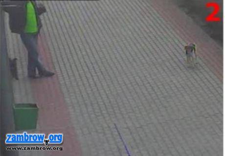 Ukradł flagę z budynku sądu w Zambrowie