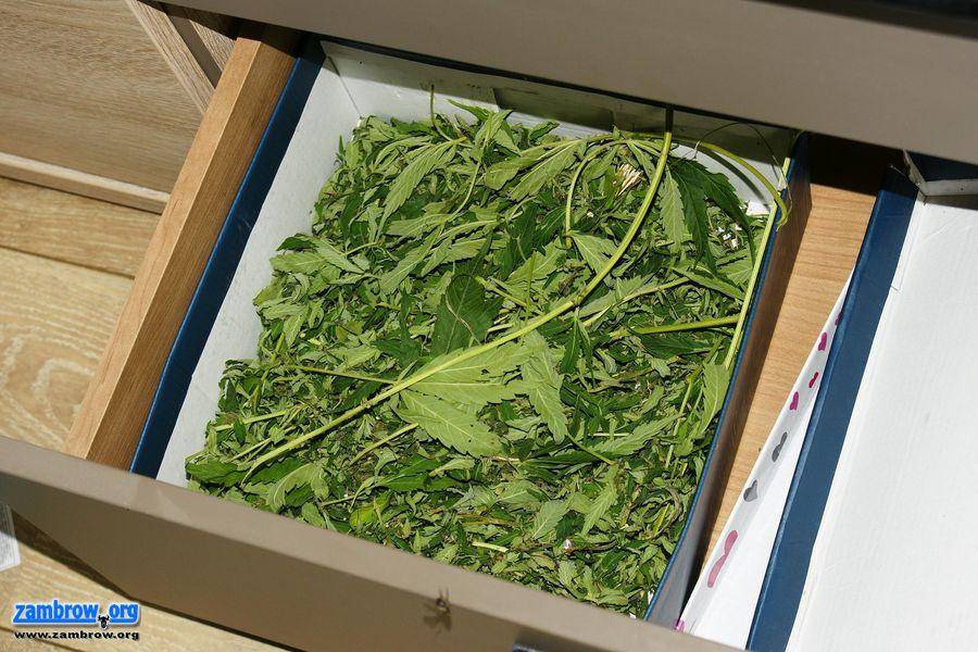 1,4 kg narkotyków znaleziono u czterech osób