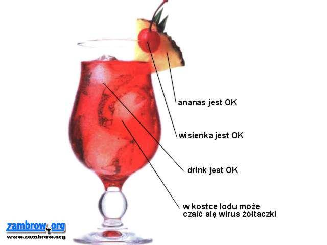 Zaszczep się przed wyjazdem
