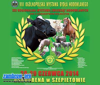 Zapraszamy do Szepietowa na wystawę hodowlaną