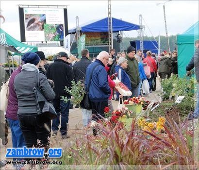 Zapraszamy na targi ogrodnicze i leśne