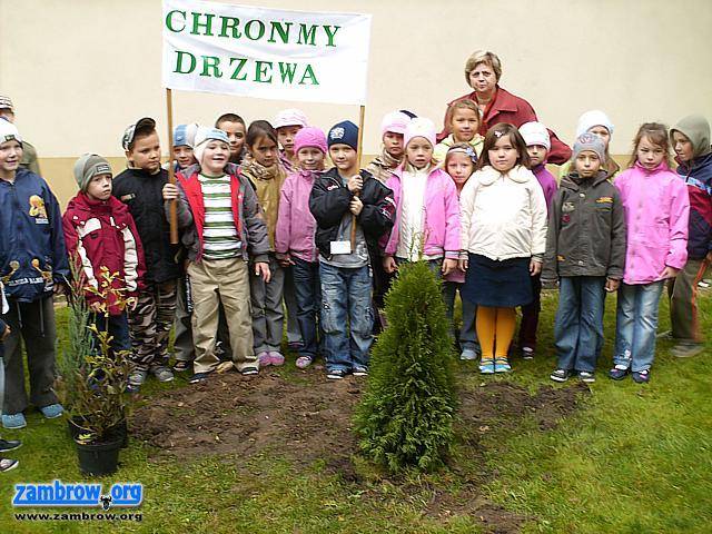Święto Drzewa w 