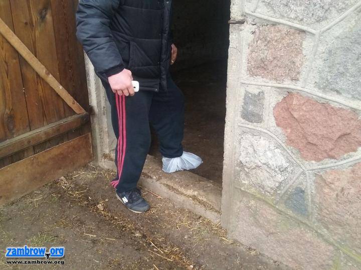 Wypadki przy pracy rolniczej w powiecie zambrowskim