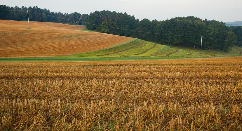 Rolnicy składają wnioski o dopłaty bezpośrednie za 2018 rok