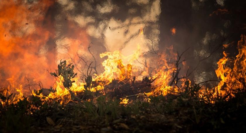 Zagrożenie pożarowe w lasach. Także w województwie podlaskim