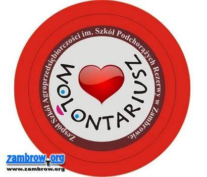 II Miejska Kampania Przeciw Przemocy Dzieci. Dołącz do wolontariuszy z ZSA!