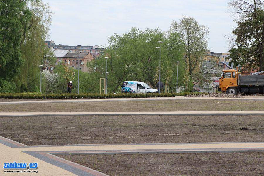 Przybywa zieleni w nowym parku [foto+video]