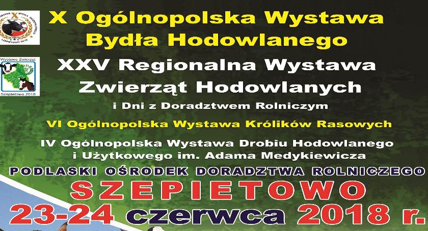 Najpiękniejsze okazy zwierząt hodowlanych w Szepietowie