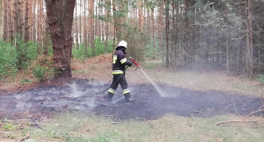 4 pożary w ciągu jednego popołudnia. Prawdopodobnie doszło do podpaleń [foto]
