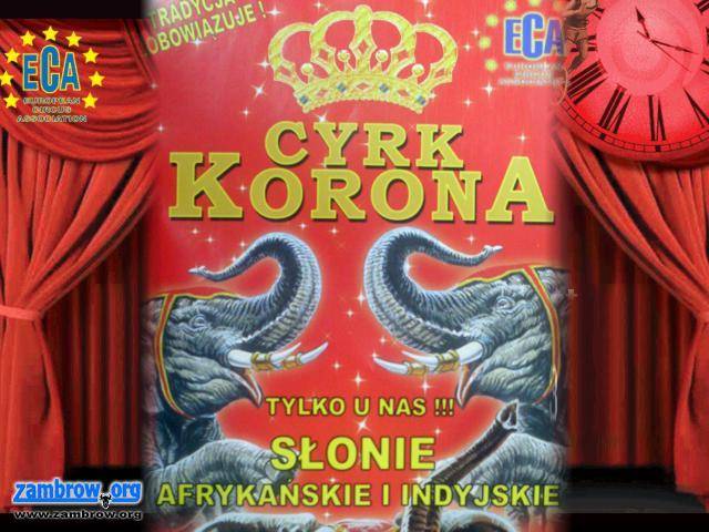 Cyrk KORONA w Zambrowie – poniedziałek 17.30