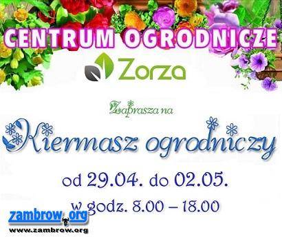 Od dzisiaj KIERMASZ OGRODNICZY w Zorzy!