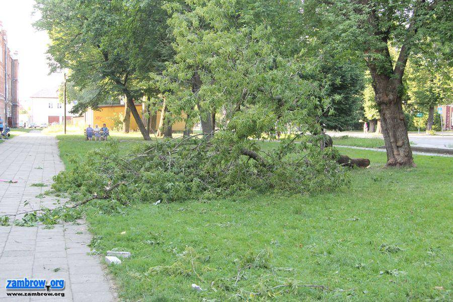 Wielki konar spadł przy bloku na „koszarach” [foto]