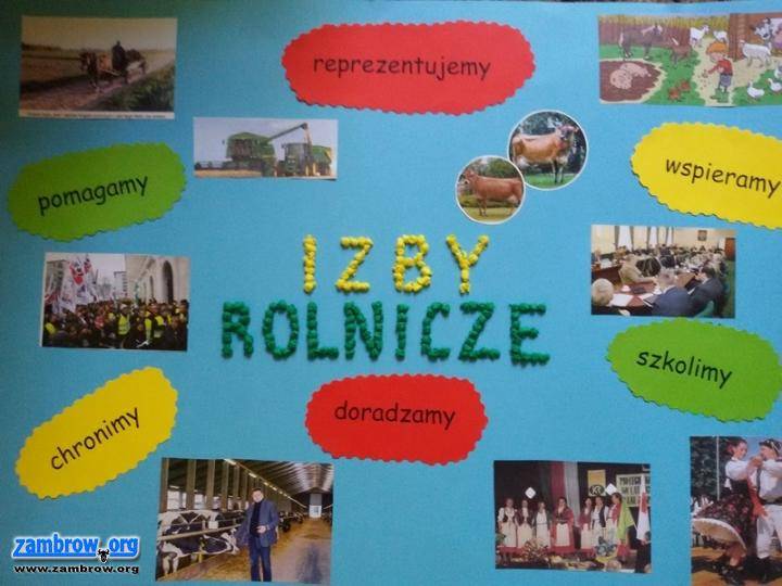 Konkurs plastyczny Izby Rolniczej rozstrzygnięty 