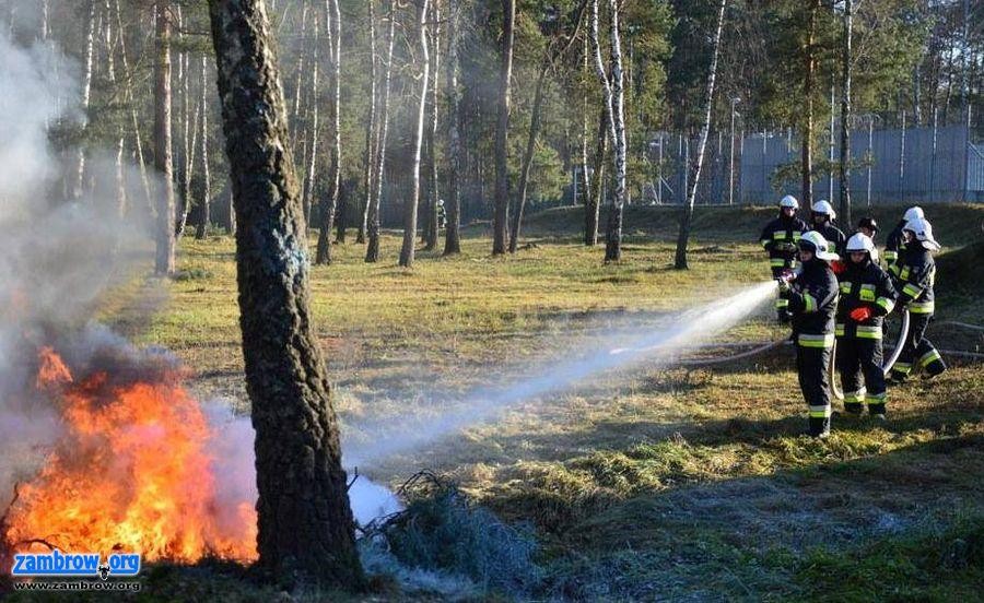 Strażacy ze Zbrzeźnicy podsumowali miniony rok 