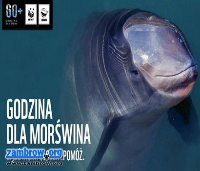 „Godzina dla morświna. Bądź moim głosem. Pomóż.”
