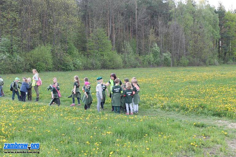  Leśne Skrzaty na zlocie „Przyjaźni” 