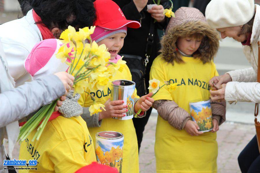 Zambrów po raz piąty „zakwitł nadzieją” [foto]