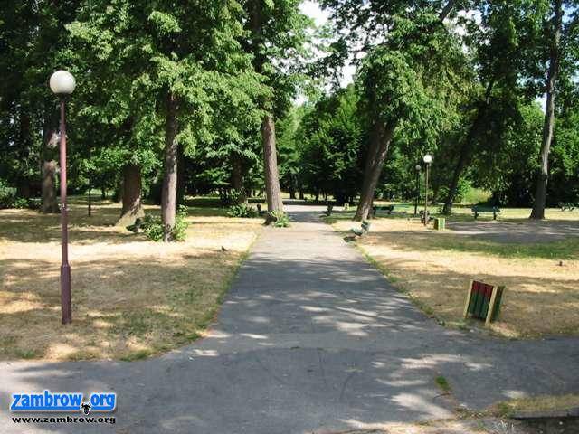 Jeszcze w tym roku powstanie nowy park w Zambrowie