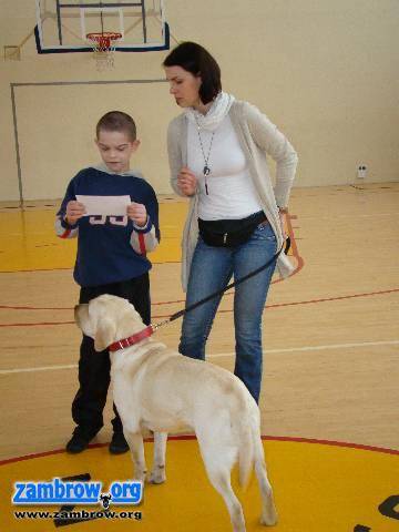 Dogoterapia w „Piątce”