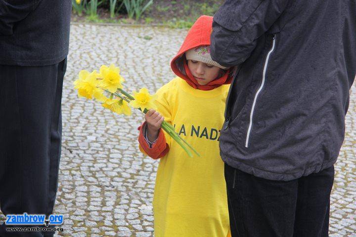 W Zambrowie zakwitły Pola Nadziei [foto]