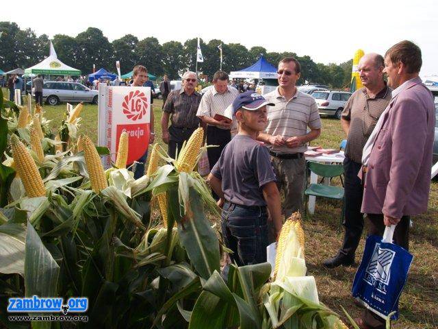 Podlaski Dzień Kukurydzy