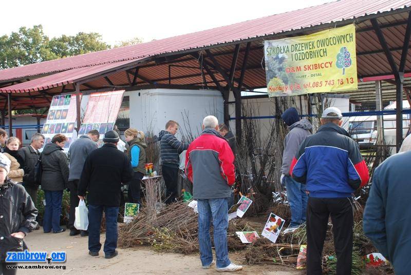 W Szepietowie odbyły się Jesienne Targi Ogrodnicze