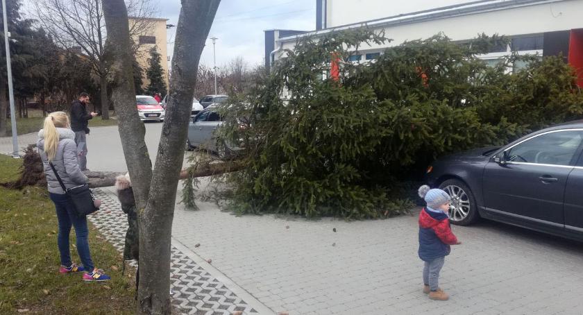 Strażacy usuwali skutki wichury [foto]
