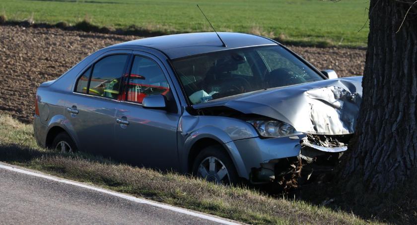 Osobówka uderzyła w drzewo. Kierowca w szpitalu [foto] AKTUALIZACJA