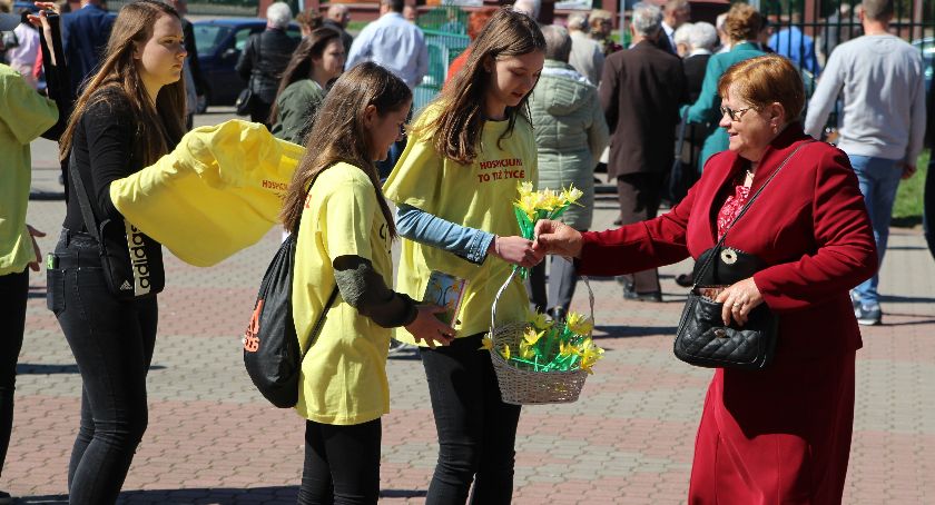 „Pola Nadziei” zakwitną w najbliższą niedzielę