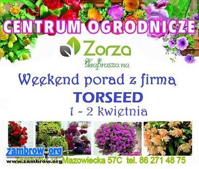 Zorza zaprasza na WEEKEND PORAD Z FIRMĄ TORSEED