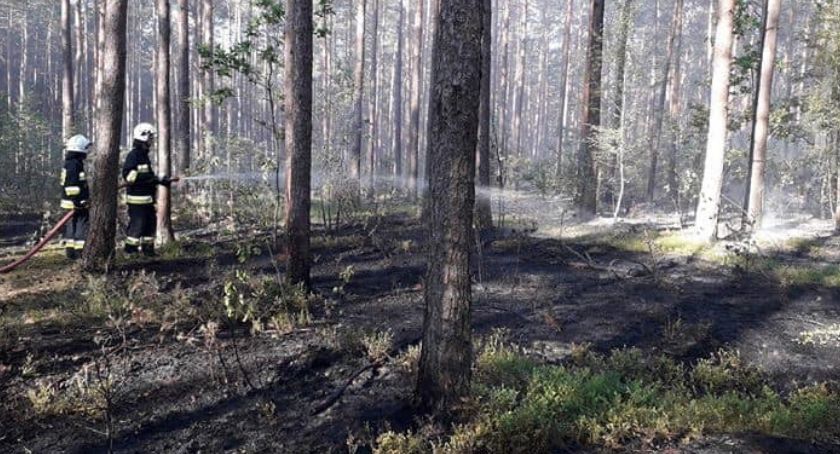 Rośnie zagrożenie pożarowe w lasach. Prosimy o rozwagę