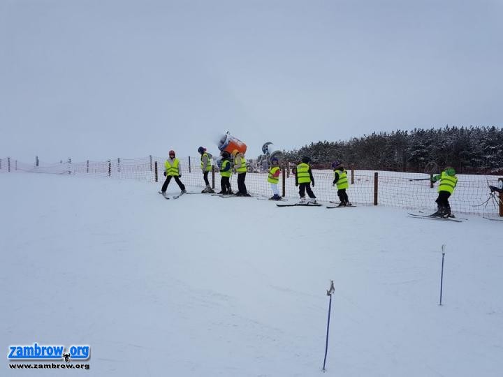 Szusowali na nartach w Rybnie [foto]