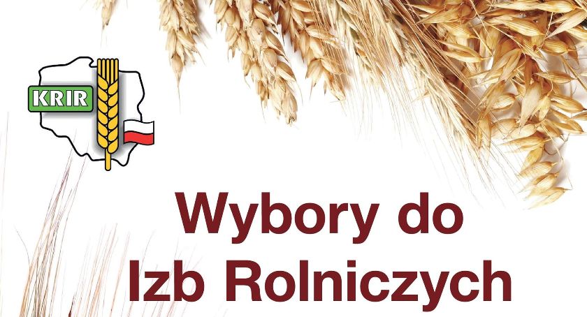 W lipcowych wyborach gospodarze powalczą o miejsca w izbach rolniczych