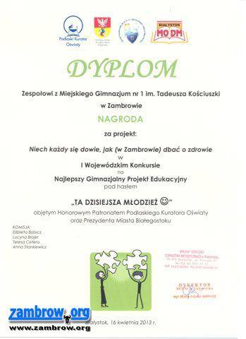 Projekt gimnazjalistów wśród najlepszych w województwie