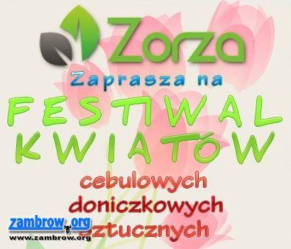 Festiwal Kwiatów w ZORZY