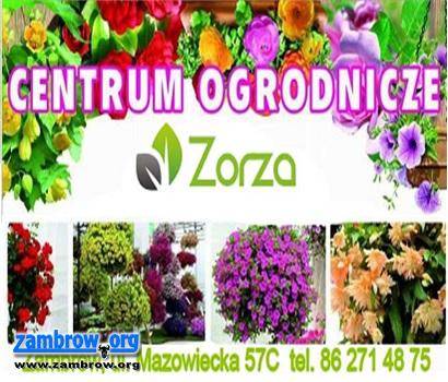 W trosce o rośliny - Dzień Porad w ZORZY