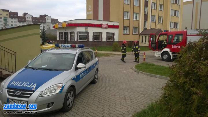 Tragedia w śmietniku