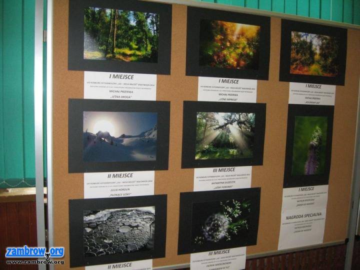 Sukces ucznia MG1 w konkursie fotograficznym