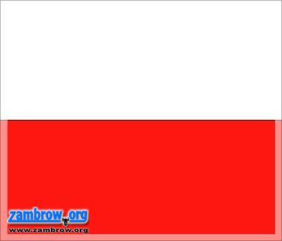 Święto Flagi 