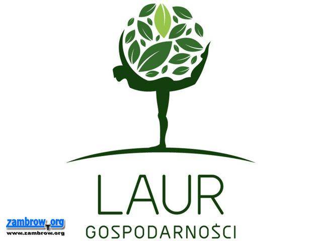 Laur Gospodarności dla gminy i organizacji