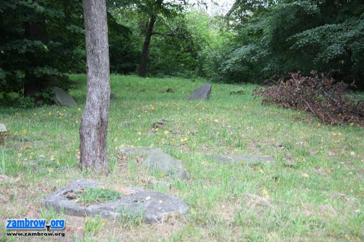 Wolontariusze z USA porządkują zambrowski kirkut