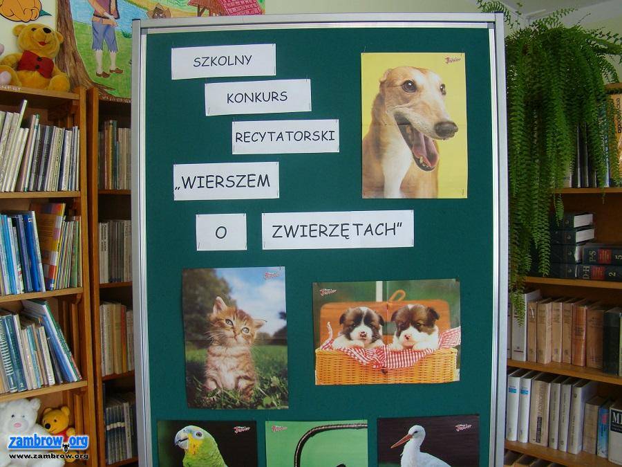 „Wierszem o zwierzętach” w SP5