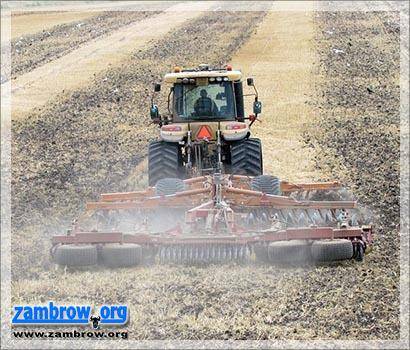 Duże straty w rolnictwie spowodowane przymrozkami, ale nie w powiecie zambrowskim